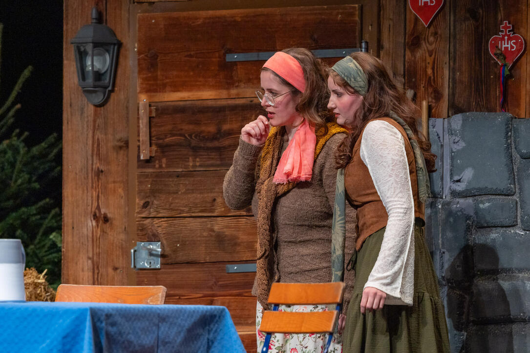 Dreik&ouml;nigsunterhaltung der Feuerwehr Vaduz (05.01.2026)