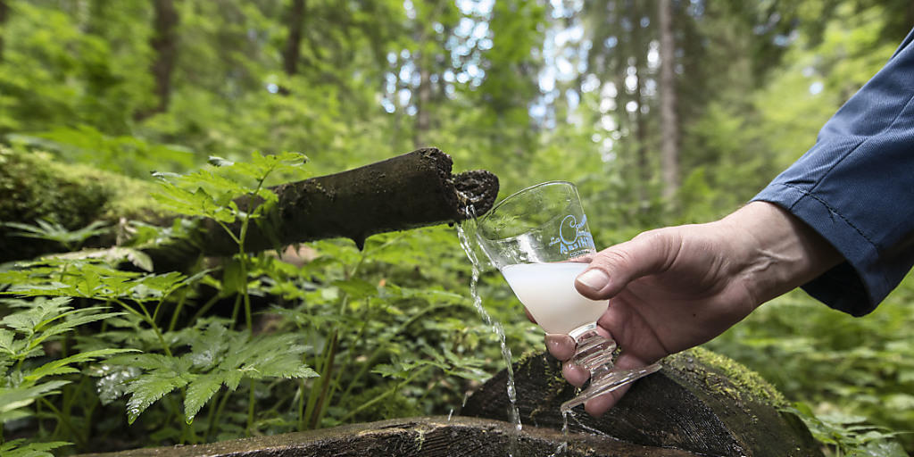 Kräuter, ein Geheimrezept und Quellwasser ergeben eine milchigweisse Flüssigkeit: den Absinth. (Archivbild) Kräuter, ein Geheimrezept und Quellwasser ergeben eine milchigweisse Flüssigkeit: den Absinth. (Archivbild)
