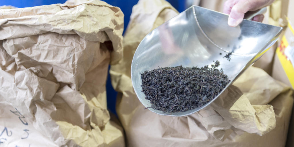 Schwarztee vor dem Entkoffeinieren. Ein neues Verfahren entzieht das Koffein ohne chemische Zusätze. Schwarztee vor dem Entkoffeinieren. Ein neues Verfahren entzieht das Koffein ohne chemische Zusätze.