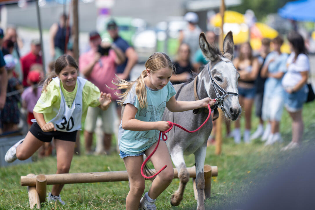 Eselfest in Malbun