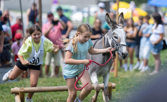 Eselfest in Malbun