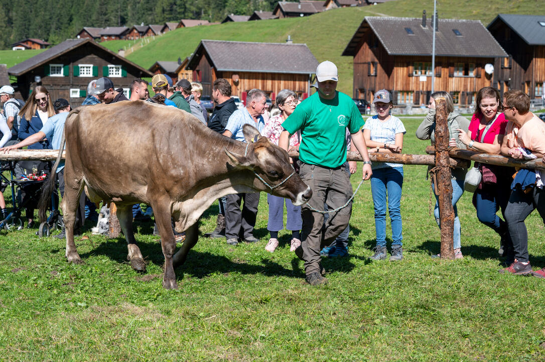 Prämienmarkt in Steg