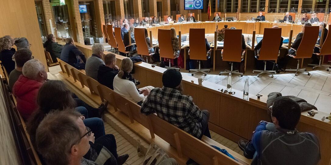 20221201 Landtag Abastimmung Hochspannungsleitungen Balzers - Brühl_ Nils Vollmar