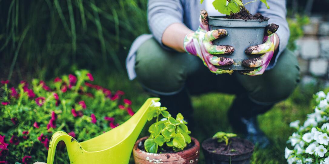 Proud gardener