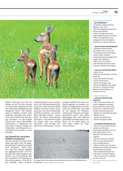 Seite 011