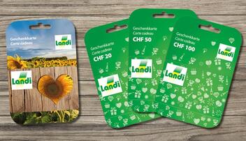 Geschenktipps, ideal für Weihnachten