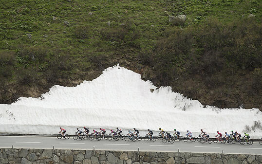 Das Feld an der Tour de Suisse 2016 auf dem Weg hinauf zum Furkapass