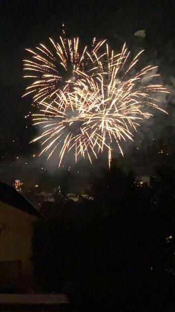 Fotowettbewerb: Weihnachten und Silvester in Liechtenstein