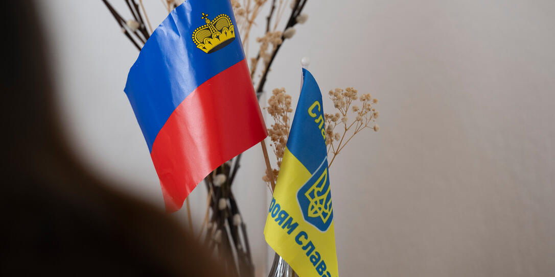 Derzeit befinden sich gut 800 Schutzsuchende aus der Ukraine in Liechtenstein.