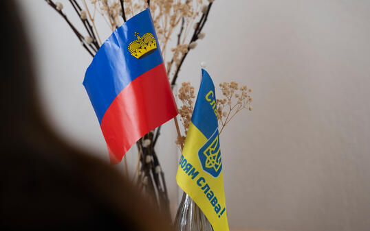Derzeit befinden sich gut 800 Schutzsuchende aus der Ukraine in Liechtenstein.