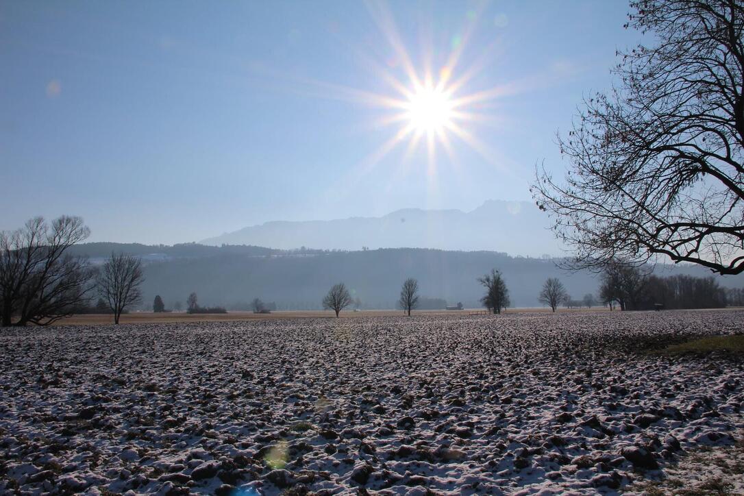 Wintersonne über dem Ruggeller Riet