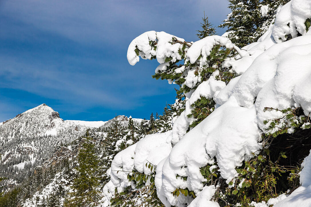 Erster Schnee in Liechtenstein
