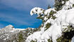 Erster Schnee in Liechtenstein