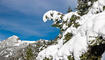 Erster Schnee in Liechtenstein