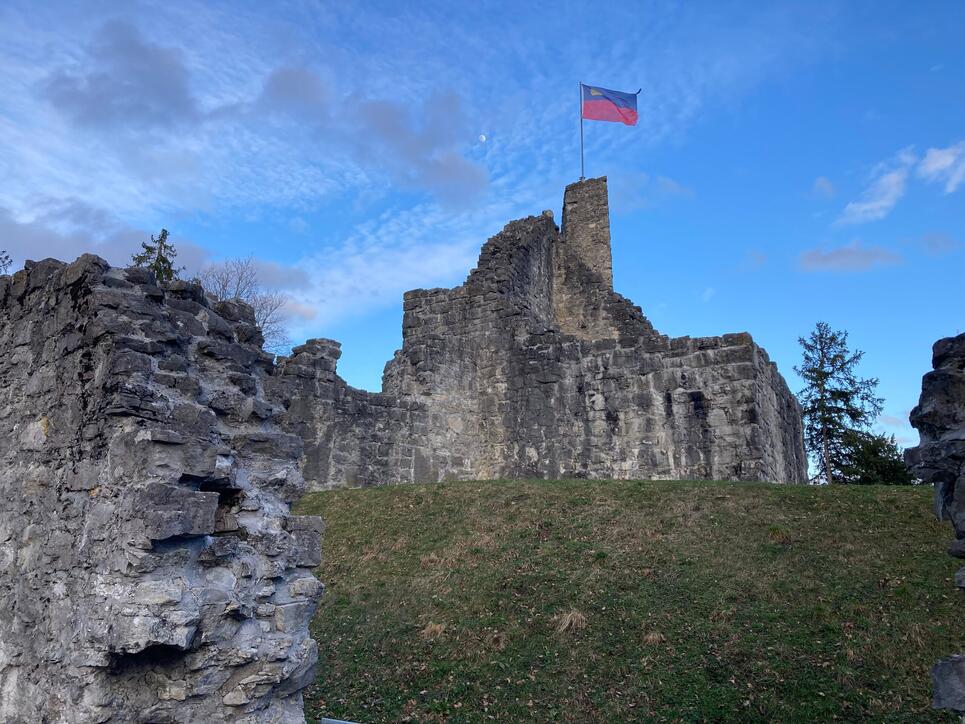 Obere Burgruine Schellenberg