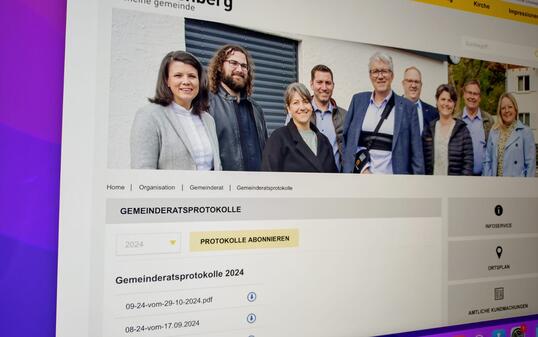 Webseite der Gemeinde Schellenberg, Gemeinderatsprotokolle