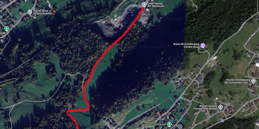 Das Bergrennen (rot eingezeichnet) führte über die Schellenbergstrasse. Gestartet wurde auf der Höhe des Steinbruchs, das Ziel befand sich bei der Ortseinfahrt in Schellenberg.