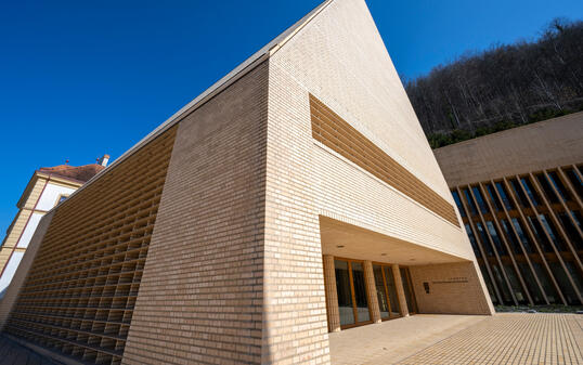 240308 Symbolfoto Liechtensteiner Landtag