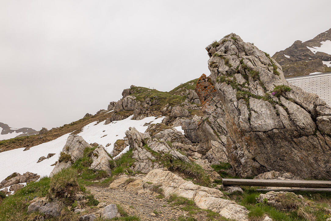 Wanderung: Steg - Alpeti - Pfälzerhütte - Malbun