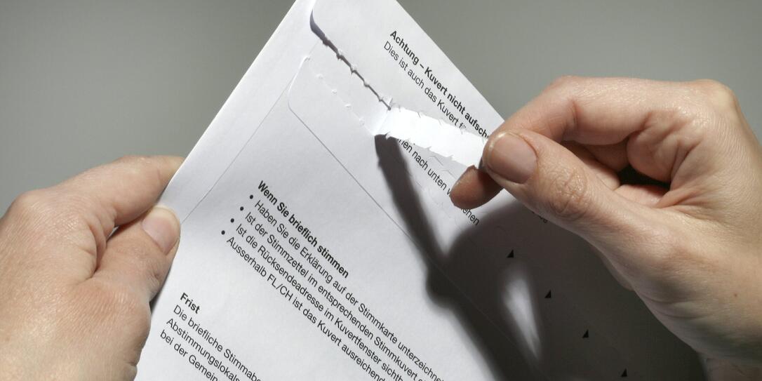 Super Abstimmungssonntag Jetzt Starten Die Kampagnen Vaterland Online