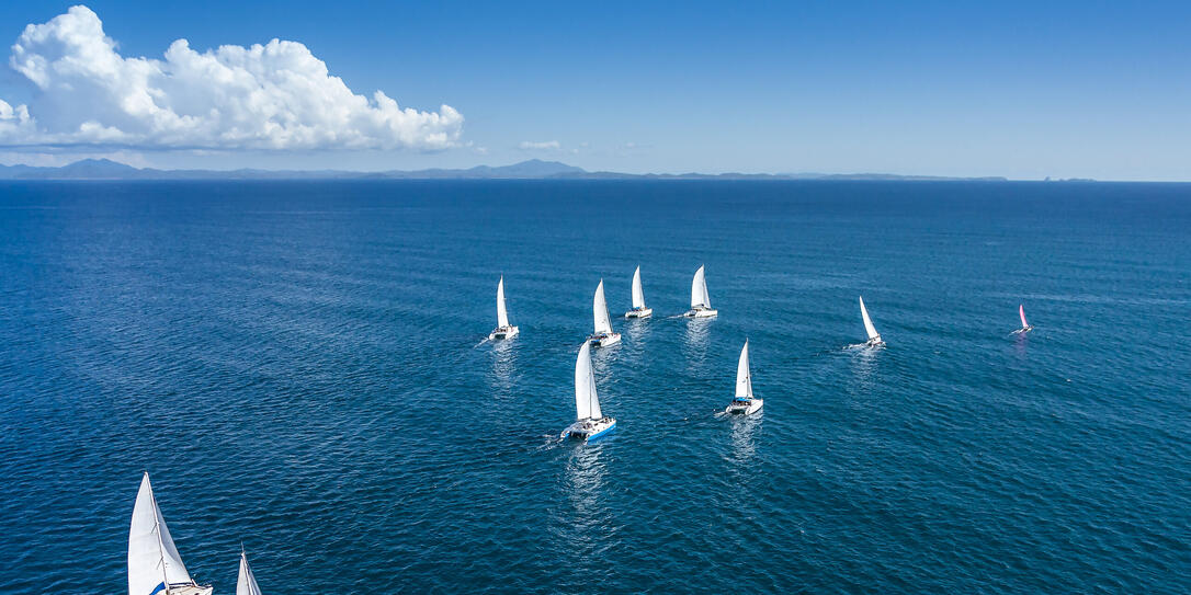 Regatta