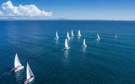 Regatta