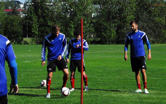 Nicolas Hasler am Ball.