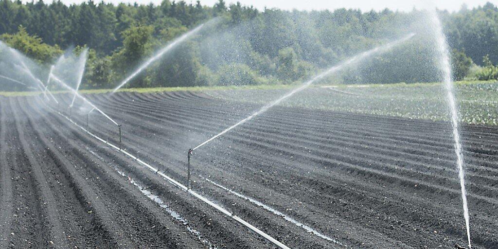 Ein Verein will den Anliegen des Seelandes zum Durchbruch verhelfen. Vertreter von Naturschutzorganisationen kritisieren, dass er zu sehr auf die Landwirtschaft fokussiert sei. (Archivbild)