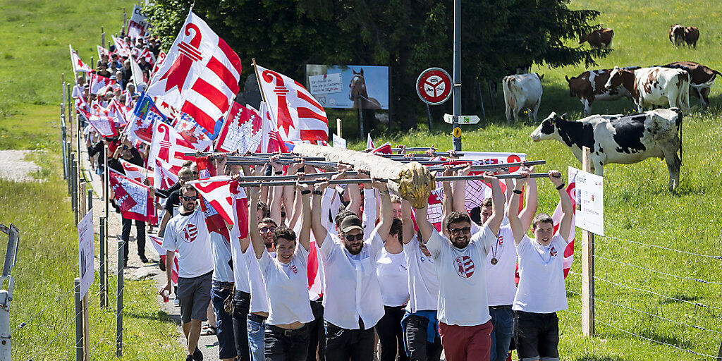 Mit Fahnen und Rammbock: Aktivisten der "Béliers" im Festumzug.