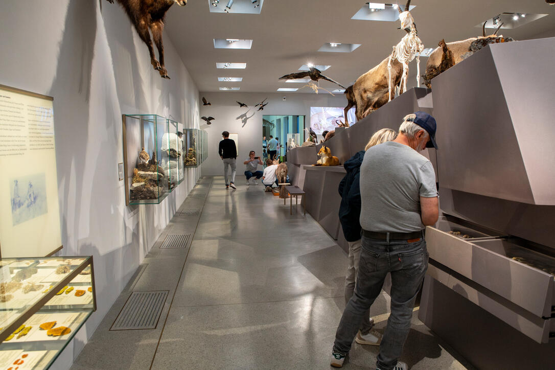 Reiseziel Museum (03.08.2025)