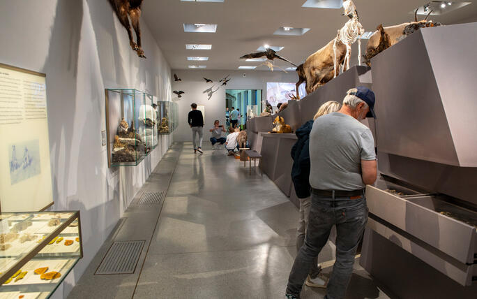 Reiseziel Museum (03.08.2025)