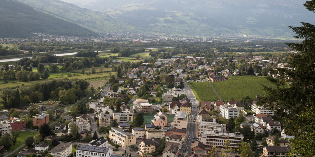 Tagesbild: Vaduz von oben