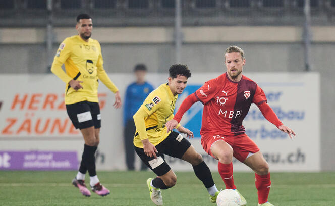 SCHAFFHAUSEN - VADUZ