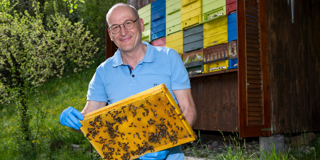 Interview Imker Gerhard Marock zur asiatischen Hornisse, in Maur