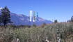 Leserwettbewerb «Flagge zeigen» der SDG Allianz Liechtenstein