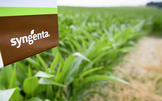 Beispiel für eine chinesische Grossübernahme hierzulande: Der Basler Syngenta-Konzern gehört heute Chemchina (Symbolbild).