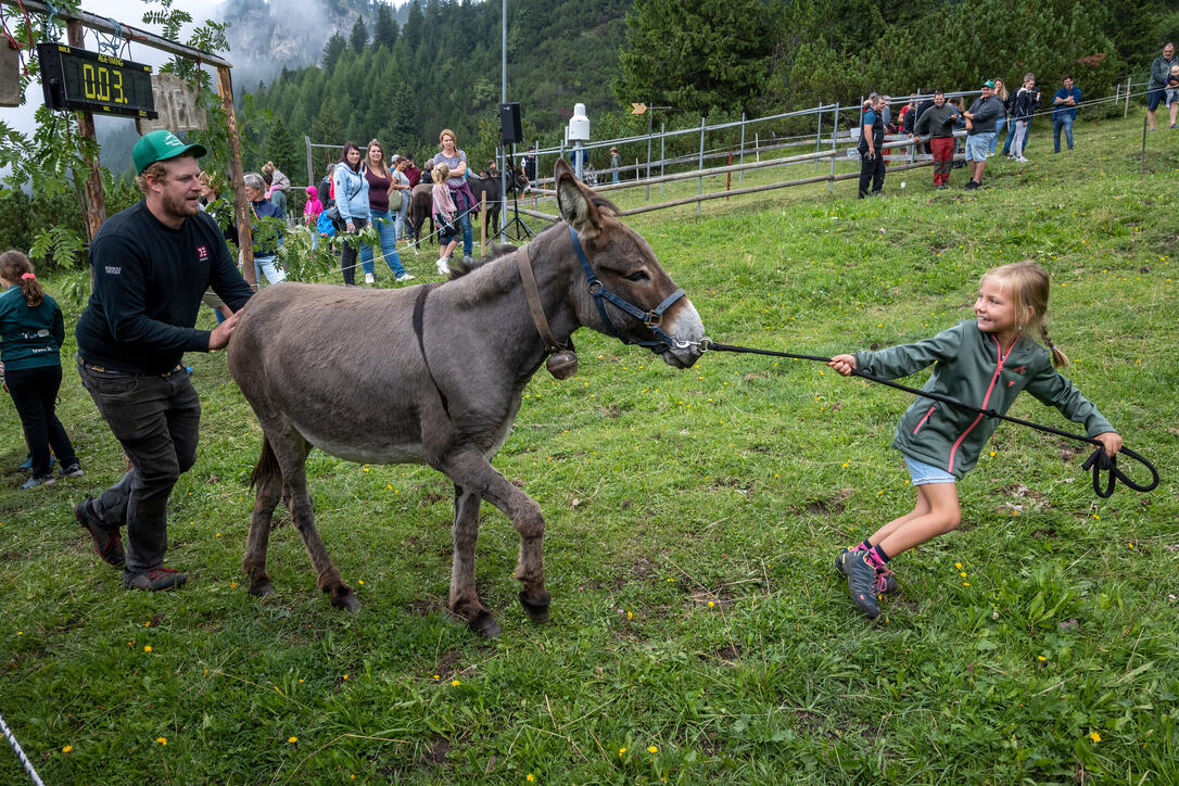 Eselfest in Malbun