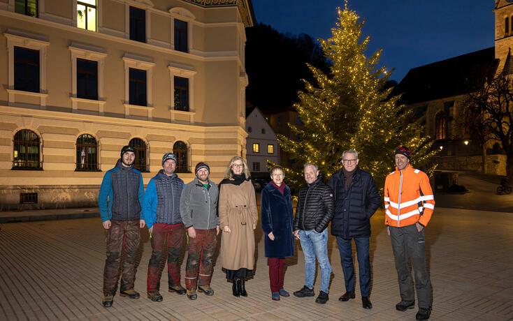 Übergabe Weihnachtsbaum, Vaduz