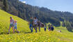 10. Sagenfest in Triesenberg (01.05.2025)