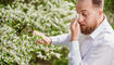 Man allergic suffering from seasonal allergy at spring, sneezing and blowing nose with handkerchief.