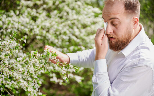 Man allergic suffering from seasonal allergy at spring, sneezing and blowing nose with handkerchief.