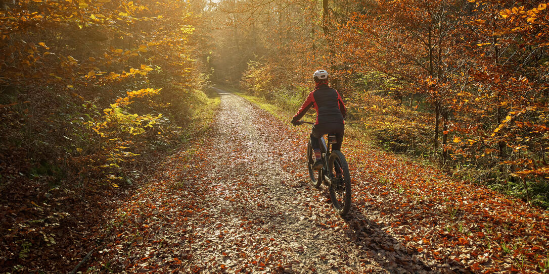 woman riding mountain bike in autumn forest