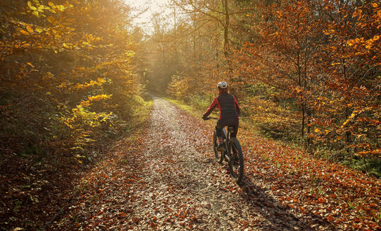 woman riding mountain bike in autumn forest