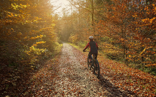 woman riding mountain bike in autumn forest