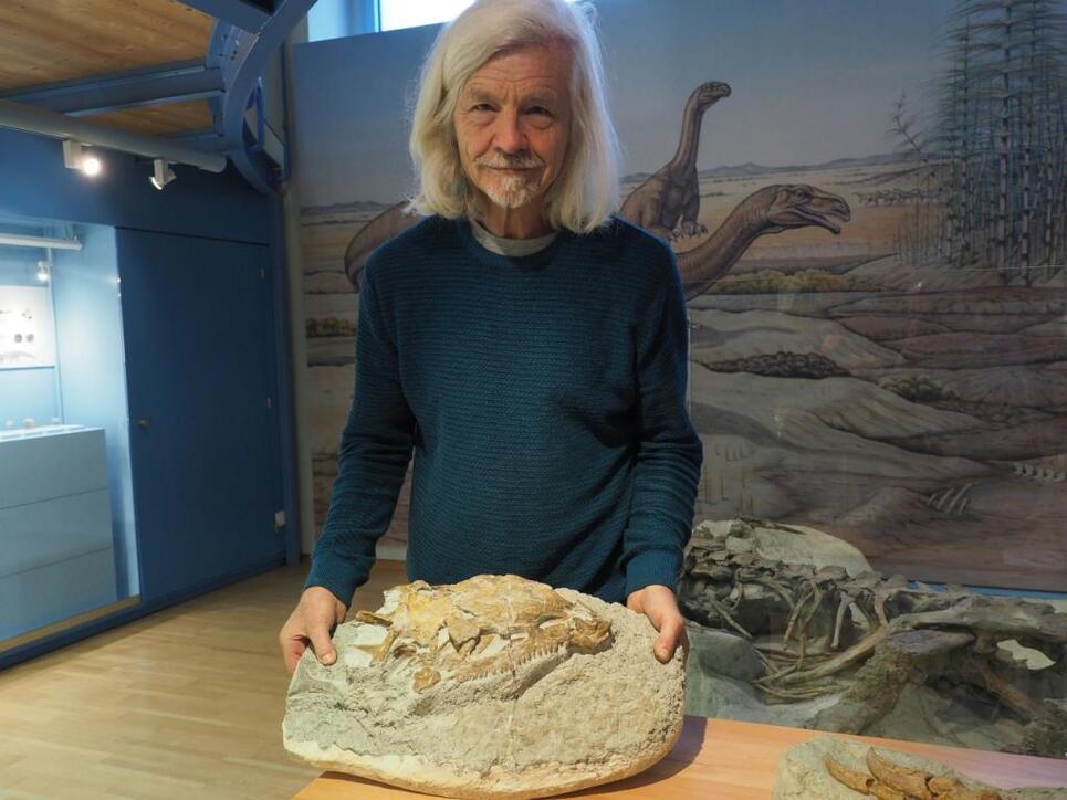 Grabungsleiter Ben Pabst präsentiert den in Frick AG entdeckten Raubsaurier. Beim fleischfressenden Saurier handelt sich um einen seltenen Fund.