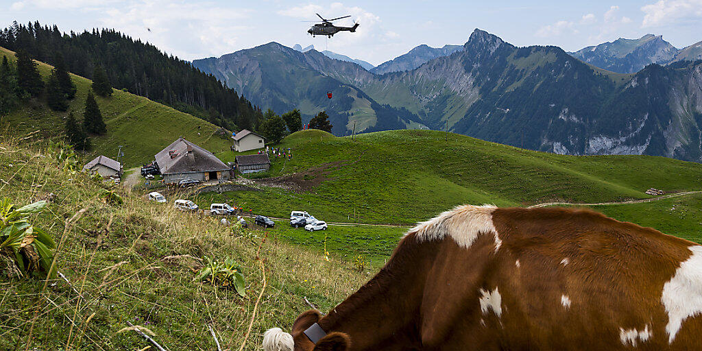 Wegen der anhaltenden Trockenheit wird das Futter auf den Bauernbetrieben knapp. (Symbolbild)