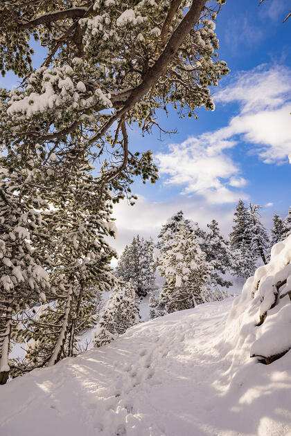 Der erste Schnee in Malbun und Steg