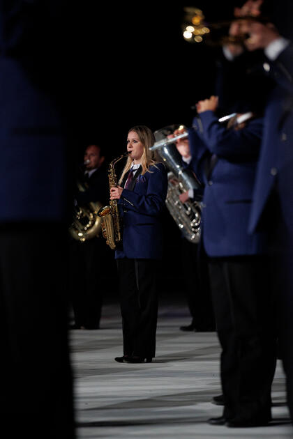 The Princely Liechtenstein Tattoo in Schellenberg