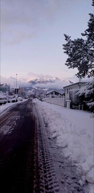 #näherdran-Fotowettbewerb Eschen-Nendeln