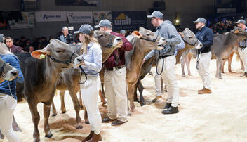 GP von Sargans, St. Gallen, Schweiz.